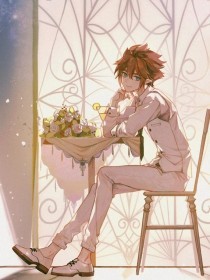 草莓丝瓜黄瓜向日葵